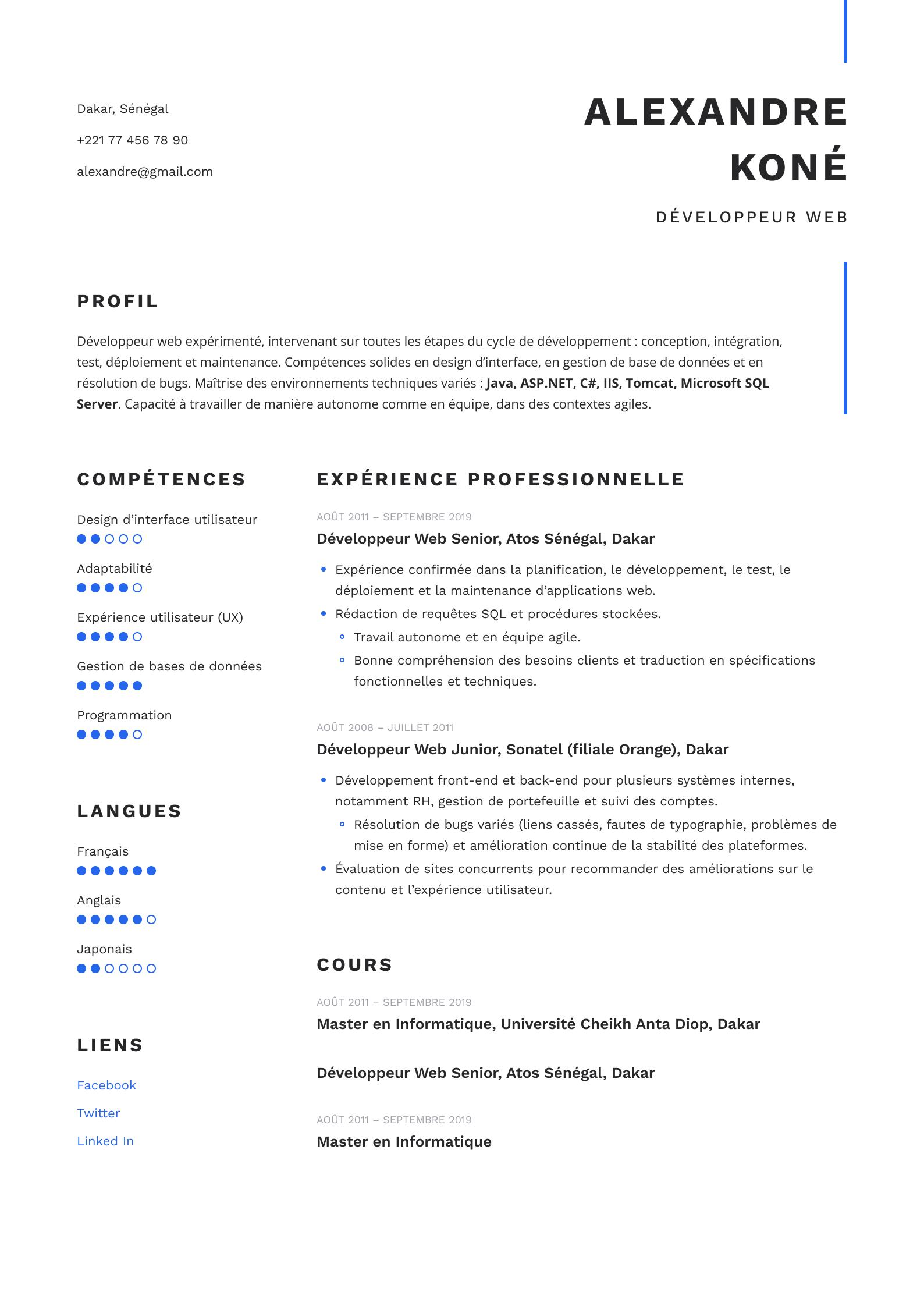 Craft your perfect professional CV
