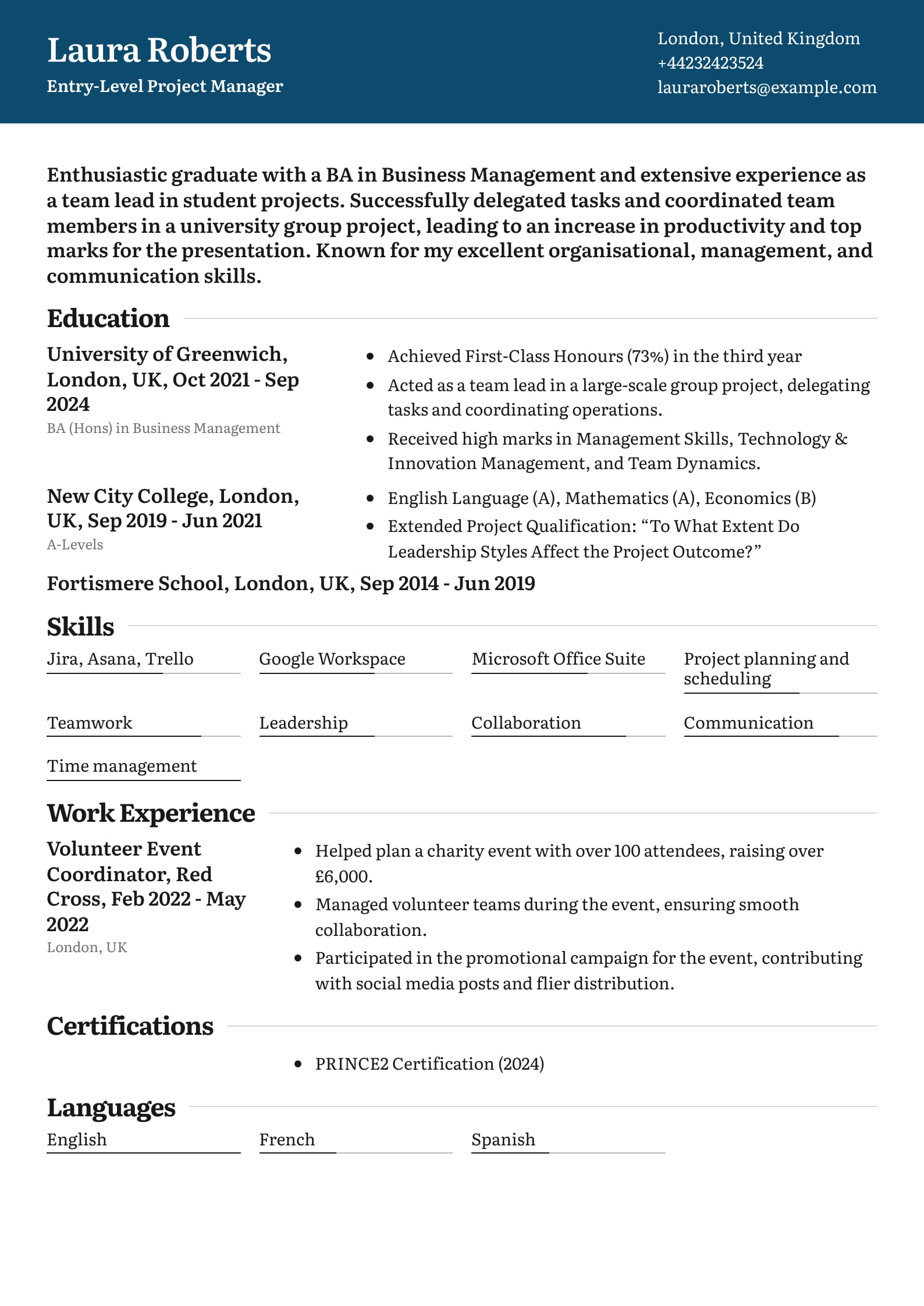 Entry-Level Project Manager